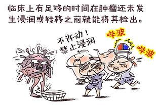 小知识漫画,趣味科普，轻松学习